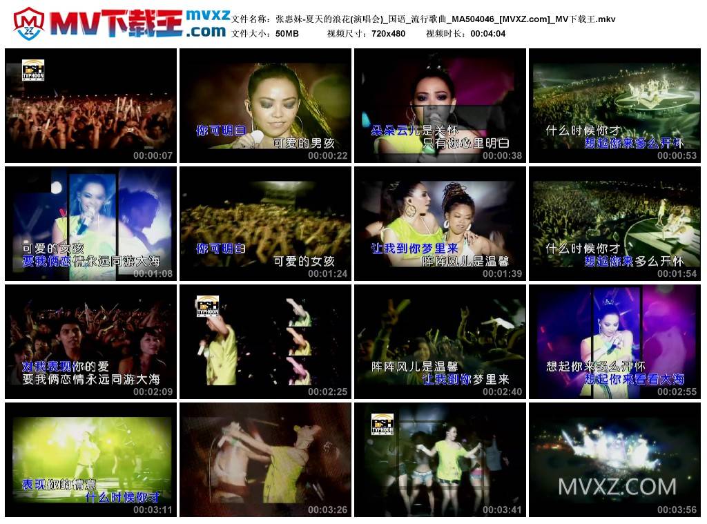 张惠妹-夏天的浪花(演唱会)_国语_流行歌曲_MA504046